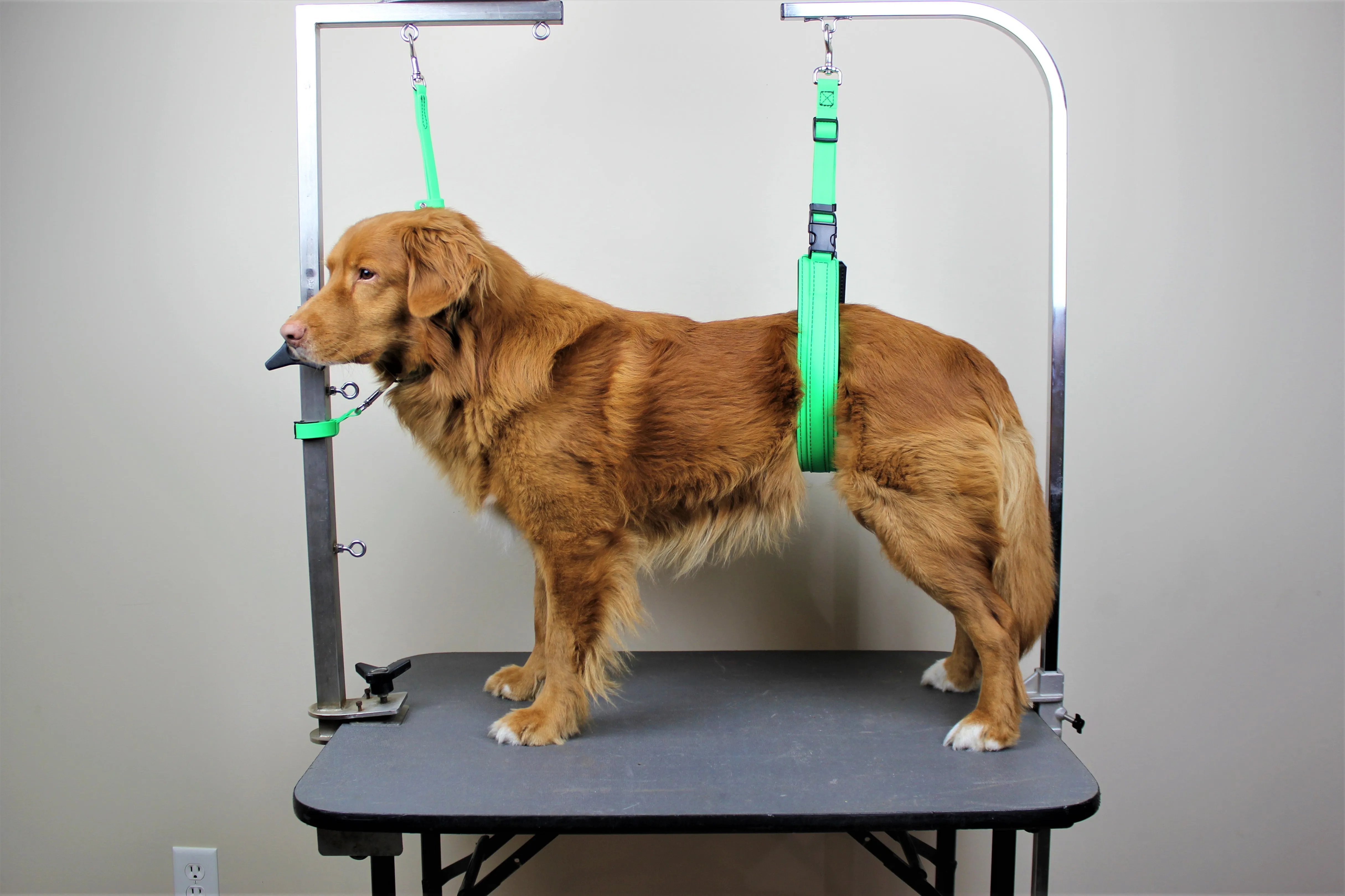 BioThane Slip Grooming Loop with Ring